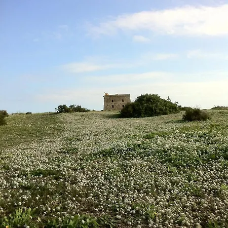 Boutique Isla Tabarca